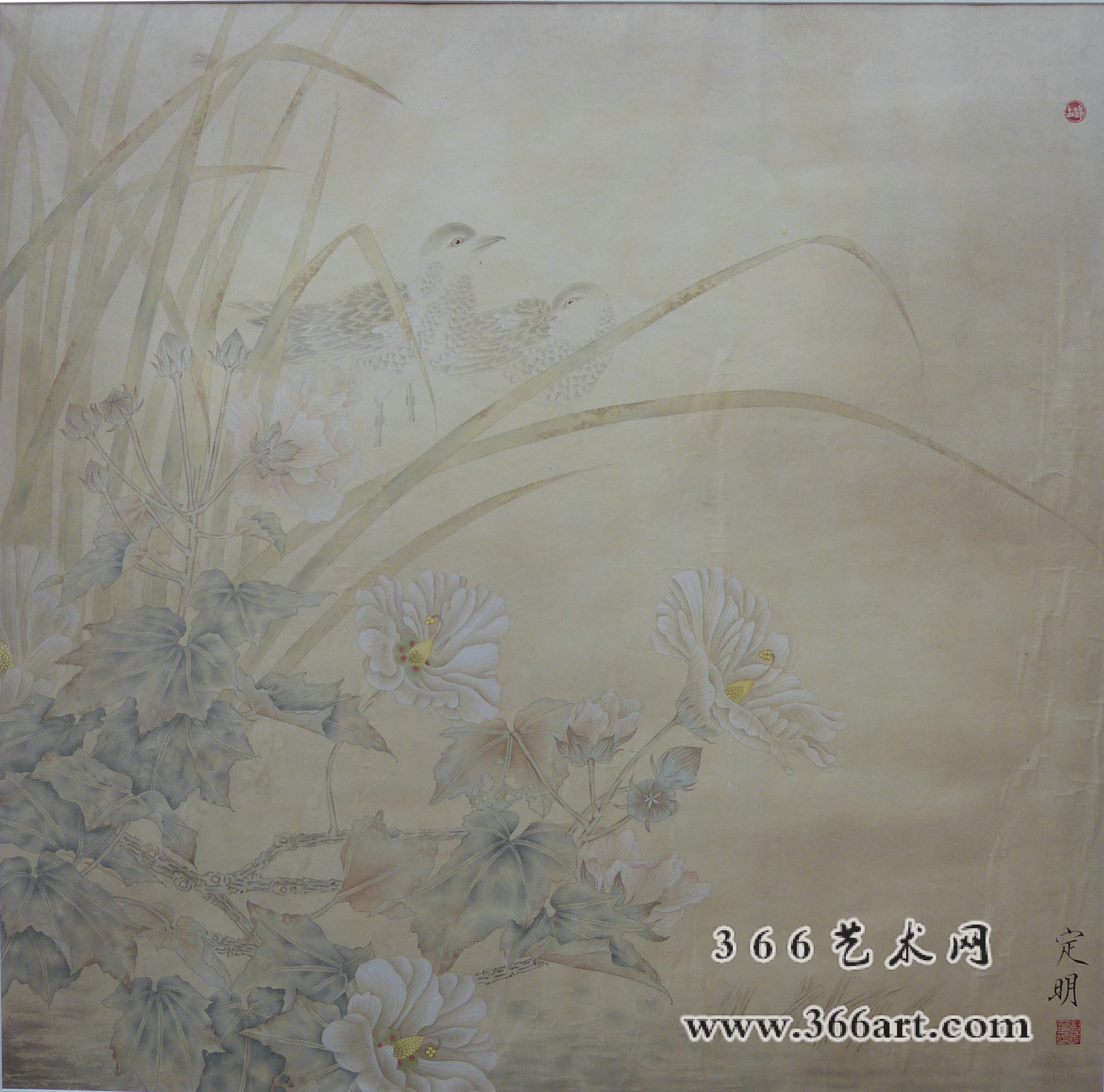 【中国水墨】葛定明 塘边木槿 2014年 65 x 65cm